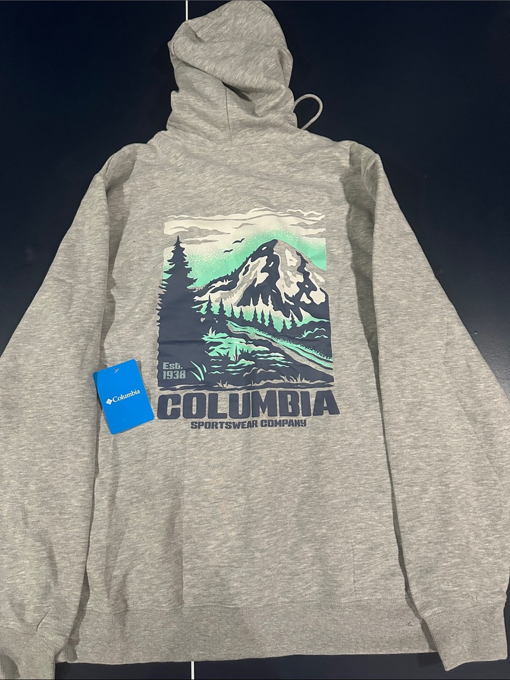 Columbia Gray Hoodie with Mountain Graphic and Teal Accents